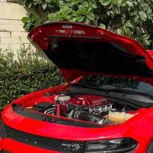 Meet your Posher, Gabriel